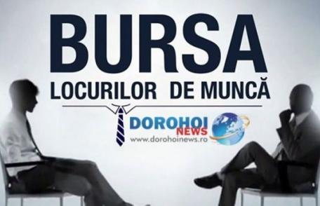 365 locuri de muncă anunţate până la această data la Bursa locurilor de muncă pentru absolvenți 