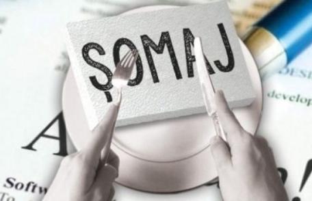 Trei la sută este rata șomajului înregistrat în evidențele AJOFM Botoșani în luna septembrie 2018