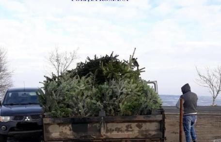 Brazi confiscați după mai multe controale efectuate de polițiștii de ordine publică