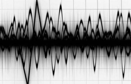 Cutremur cu magnitudine 3.1 în Vrancea