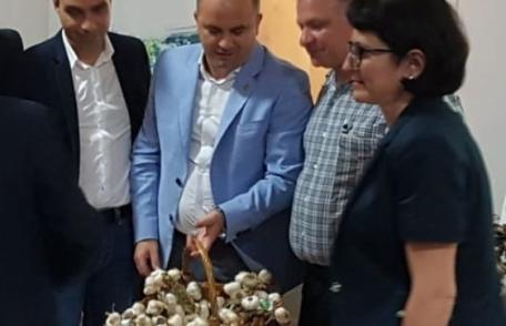 „Ministerul Agriculturii va implementa un Program cerut de senatorul Lucian Trufin pentru sprijinirea cultivatorilor de usturoi”