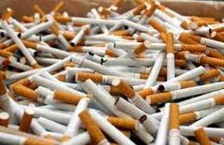 Patru persoane cercetate în stare de reţinere pentru acte de evaziune fiscală