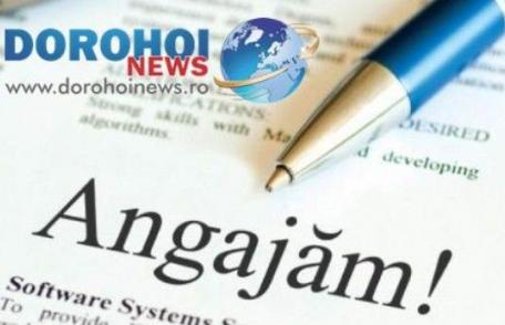 Primăria Botoșani face noi angajări. Vezi ce locuri de muncă vacante sunt în județ!