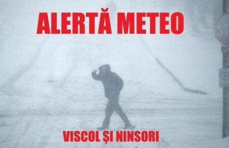 NEWS ALERT: Judeţul Botoșani sub avertizare de COD GALBEN de ninsori abundente şi viscol, începând din această noapte