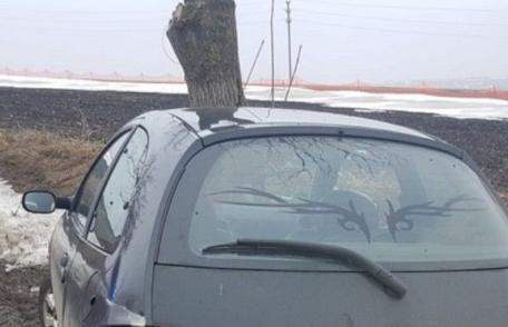 Peripeții la 15 ani! A distrus luneta unui autoturism apoi a furat un altul cu care a provocat un accident