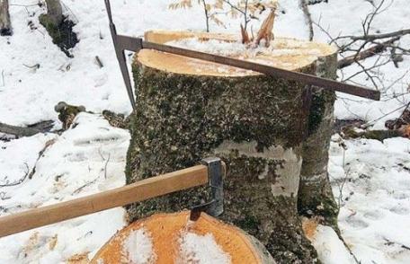 Patru indivizi amendați după ce și-au „vărsat” nervii pe un pădurar „deranjați” de drona lansată pentru supravegherea unui sector de pădure