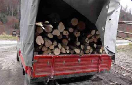 Lemn de foc fără documente legale confiscat de polițiști