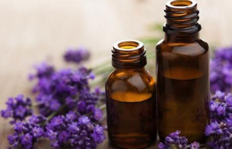 Proprietăți terapeutice pe care le deține lavanda