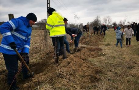 „Luna plantării arborilor” continuă cu o nouă acțiune, de această dată la Vârfu Câmpului – FOTO