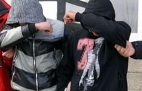 Unde duce teribilismul: Doi adolescenți s-au ales cu dosar penal pentru o bicicletă și două găleți