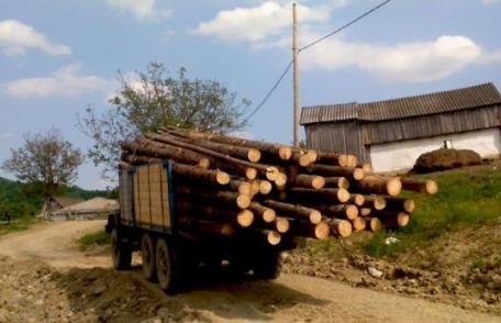 Polițiștii dorohoieni au descoperit un transport illegal de leme făcut cu o mașină care avea actele falsificate