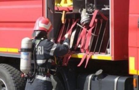Cal salvat de pompierii dorohoieni după ce a căzut într-o fosă septică la Pădureni