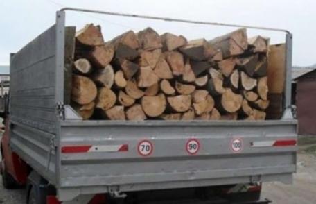 5.000 de lei amendă pentru un transport ilegal de lemne