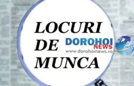775 locuri de muncă disponibile în județul Botoșani