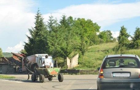 Scandal între un căruţaş şi poliţiştii rutieri. Bărbatul în stare de ebrietate a blocat circulația pe un drum european
