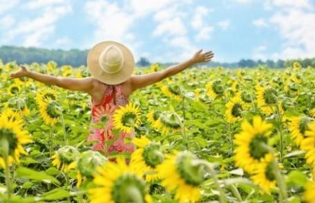 Horoscopul săptămânii 29 iulie - 4 august: Gemenii se gândesc mult la bani, Capricornii sunt cu ochii pe partener