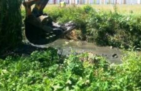 Primăria Dorohoi, a demarat procedurile pentru atribuirea contractului de curățarea albiei pârâului Dorohoi