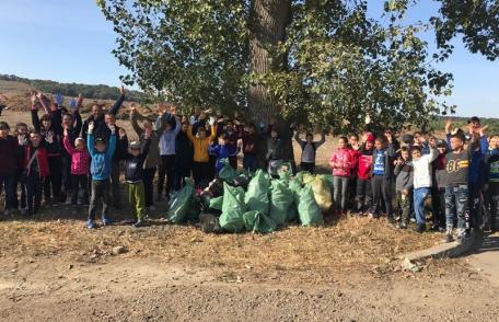 Sute de voluntari au luat parte la acţiunea de ecologizare „Let’s do it, România” în Dorohoi - FOTO