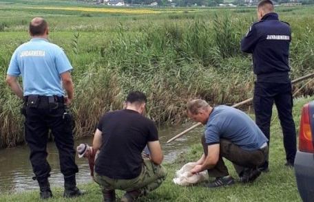 Pescari „la plasă” prinşi de jandarmii botoșăneni