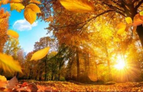 E vară în noiembrie. Cât mai ține căldură și când vine totuși gerul