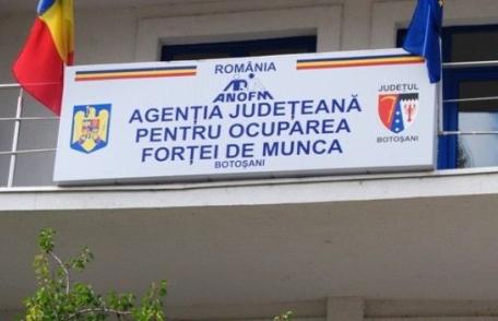 4.994 persoane angajate prin intermediul AJOFM BOTOȘANI