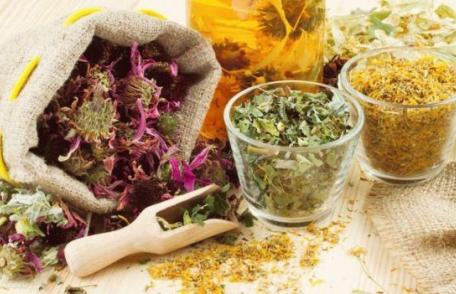 Trei plante care te ajută să-ţi reglezi tensiunea