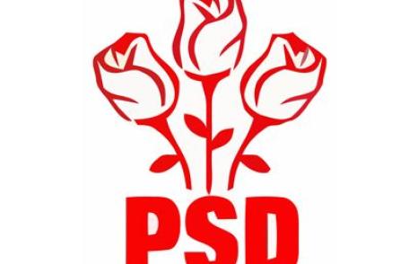 PSD Botoşani dezaprobă categoric, proiectele PDL