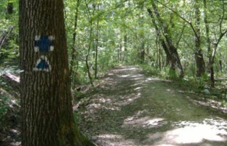 Vicepreședintele Dorin Birta propune alocarea a 300 mii lei pentru modernizarea drumului care duce la Lacul cu nuferi din Ipotești