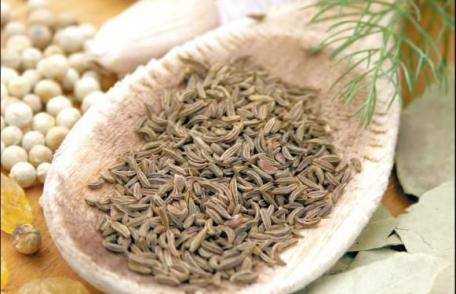 Seminţele te fac mai sănătos și previn multe afecţiuni