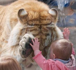 Fotografia care te va lăsa cu gura căscată