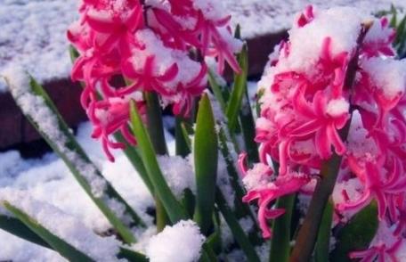 Un val de frig loveşte România. Când se întoarce vremea rea, în ce regiuni sunt aşteptate ninsori