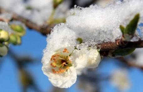 Vremea se răceşte accentuat de sâmbătă seară şi încep ninsorile. Prognoza meteo pentru week-end