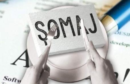 Președintele ANOFM atrage atenția asupra principalei greșeli pe care o fac angajatorii când depun cereri pentru șomaj tehnic