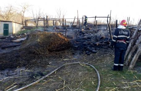 Foc devastator la Corlăteni! Adăpost cu 22 de animale mistuit de flăcări - FOTO