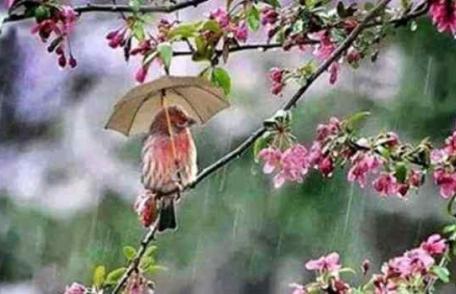 Un val de aer rece loveşte România. Când se anunţă fenomene extreme şi cât de frig se face