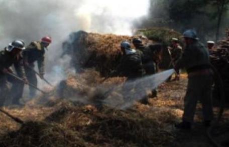 15 tone de furaje distruse într-un incendiu, la Vorniceni