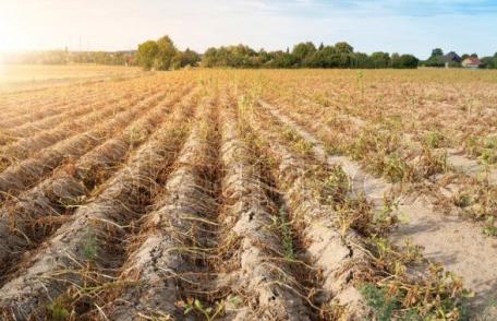 Comunicat de presă: „SECETA aduce pierderi, STATUL trebuie să susțină fermierii!!”