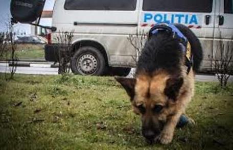 Zeci de polițiști mobilizați noaptea trecută pentru căutarea a doi copii din Dersca