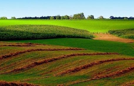 S-a dat lege. Terenurile nu vor mai putea fi vândute străinilor