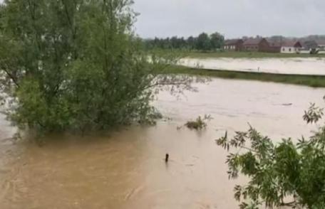 S-a emis un nou COD ROȘU de inundații! 27 de județele afectate inclusiv Botoșani
