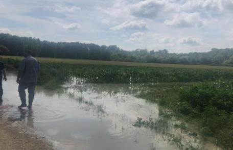 Prefectul solicită ajutor Guvernului după inundațiile din ultimele zile