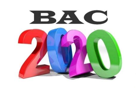 IȘJ Botoșani a efectuat statistica examenului de Bacalaureat 2020 după soluționarea contestațiilor