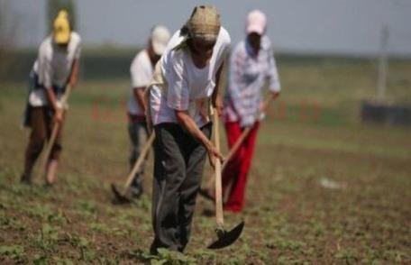 Angajatorii care folosesc zilieri, obligați să înregistreze electronic activitatea prestată