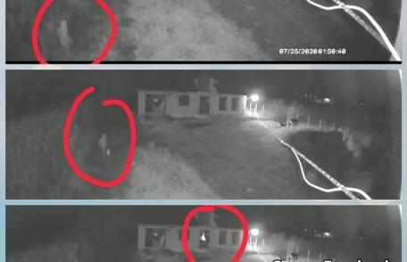 Casa unui polițist din Dorohoi a fost incendiată. Polițiștii fac cercetări pentru identificarea făptașului