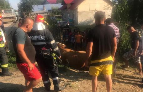 Intervenţie cu „greutate” a pompierilor din Dorohoi - FOTO