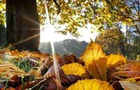 Vremea se va răci accentuat de vineri. Cum va fi vremea în weekend