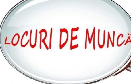 869 locuri de muncă puse la dispoziție de agenți economici în județul Botoșani în această săptămână