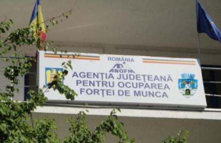 Întreprinderile sociale pot obține atestatul de întreprindere socială de la AJOFM Botoșani