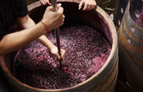 Pericolul din butoaiele cu must! „Există risc de intoxicație cu gaze toxice”