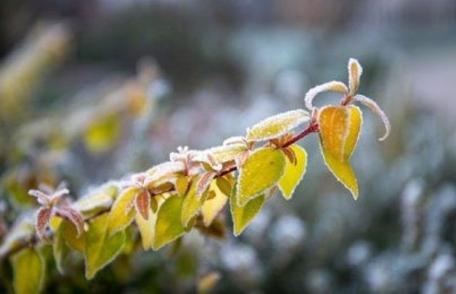 Vin ninsorile! Cum va fi vremea în următoarele săptămâni
